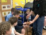 Minibeasts Owls